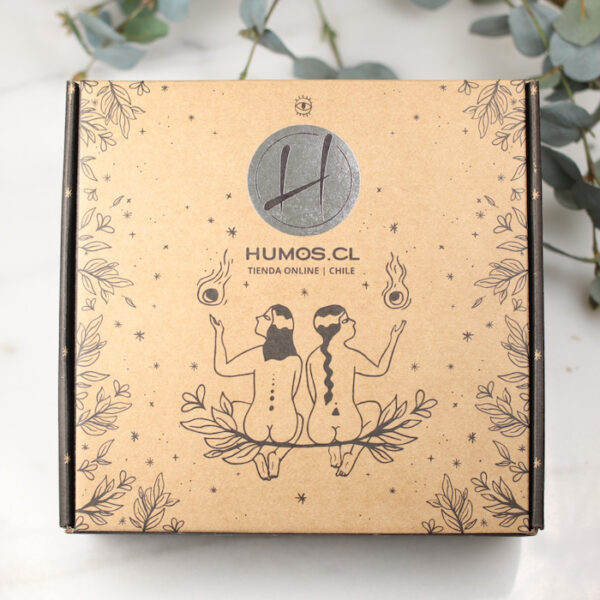 Kits Con Resinas Archives — Humos.cl